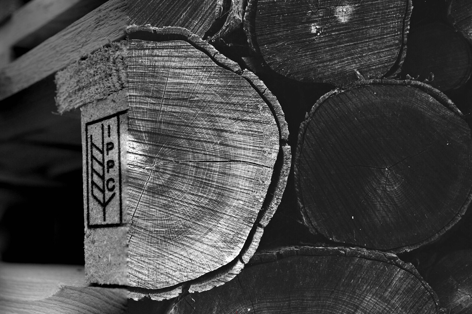 IPPC Nr. DE-NW3 490230